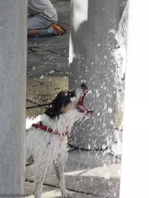 Playing In The Water