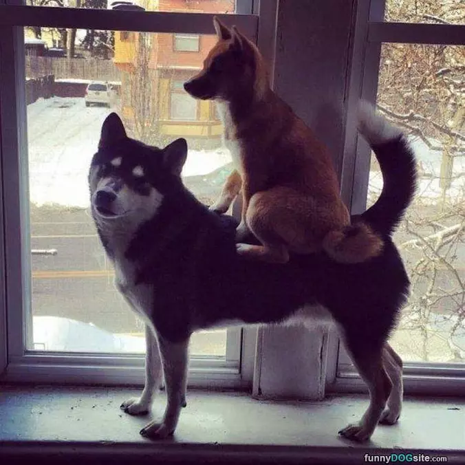 Take Me For A Ride