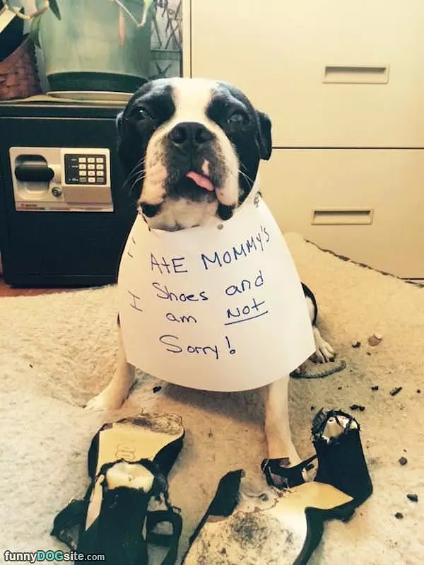 Ate Mommys Shoes