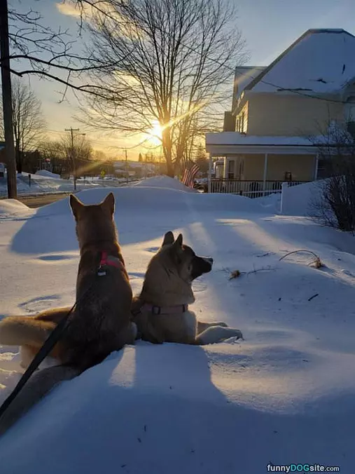 Hanging Outside In The Snow