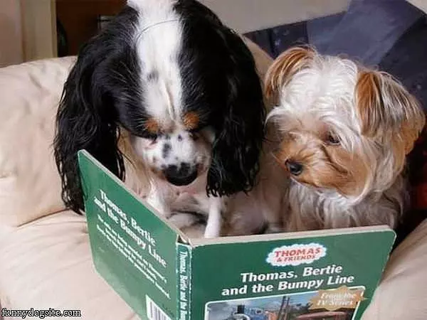 Doing Some Reading