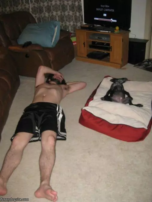 Family Nap Time