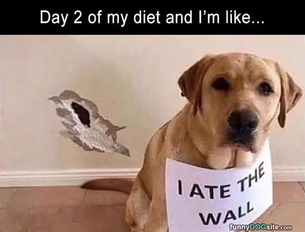 Day 2 Of My Diet