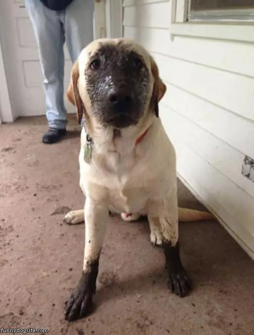 I Enjoy The Mud