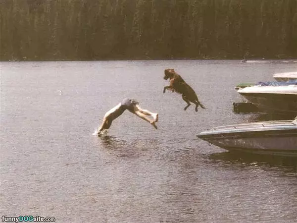 Jump In