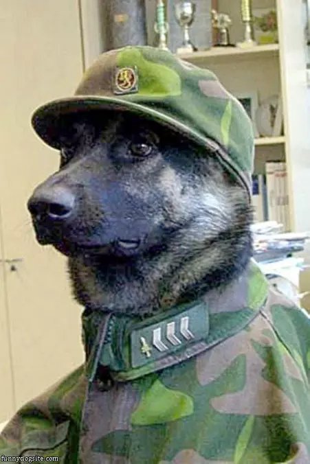 Ready For Action