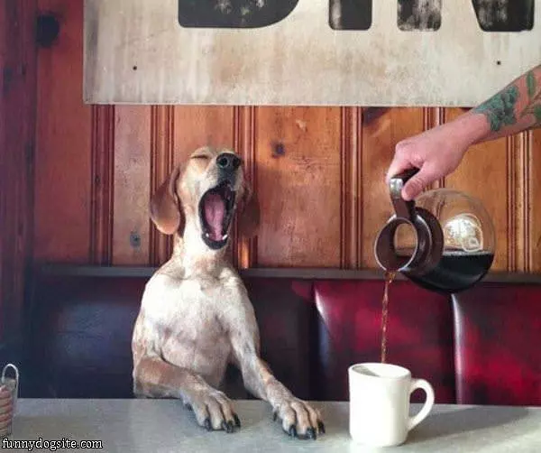 More Coffee Please