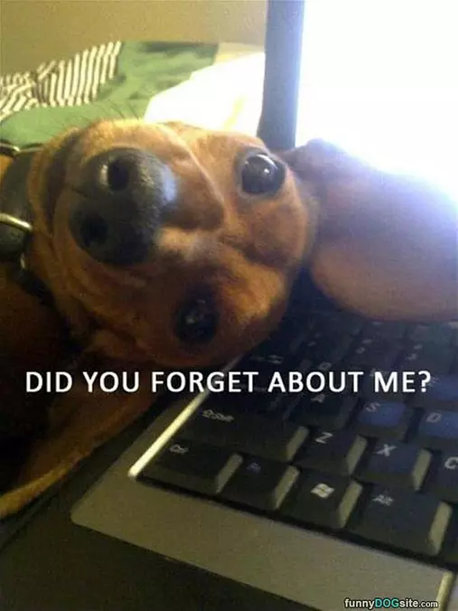 Did You Forget About Me