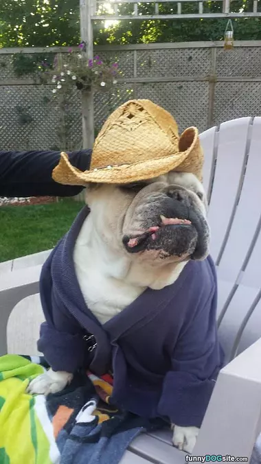 My Cowboy Hat