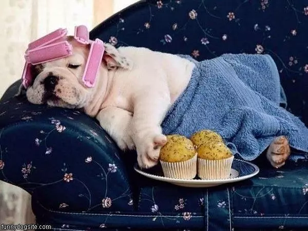 Long Day