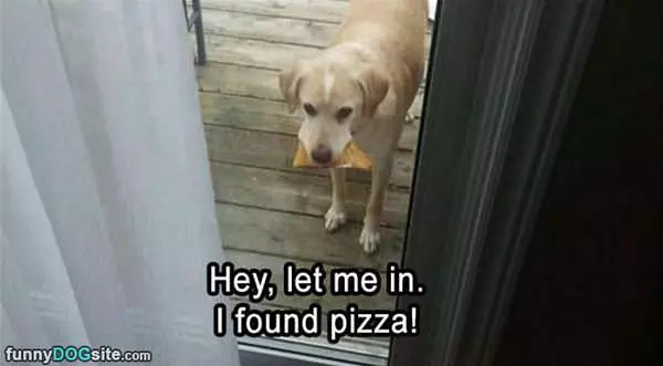 Hey Let Me In
