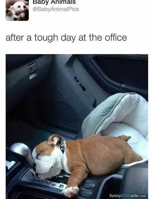 Tough Day At The Office