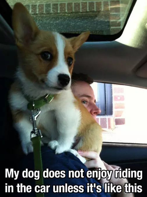 Riding In The Car