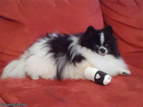 Iz Broken
