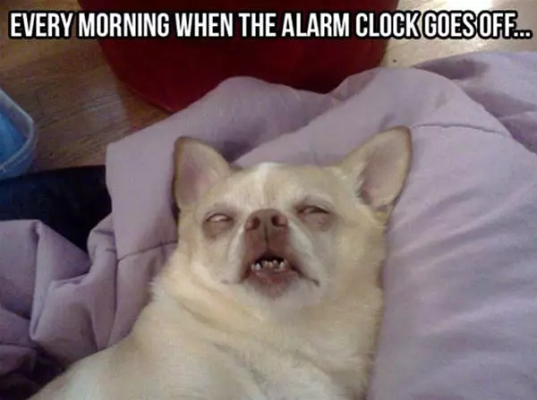 Every Morning