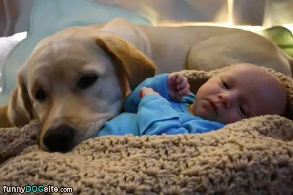 Puppy Love