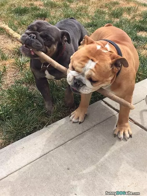 Always Stick Together