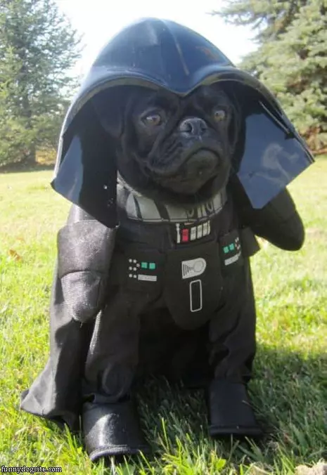 Darth