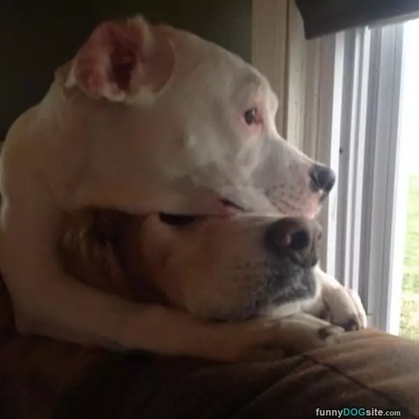 Stay Right There