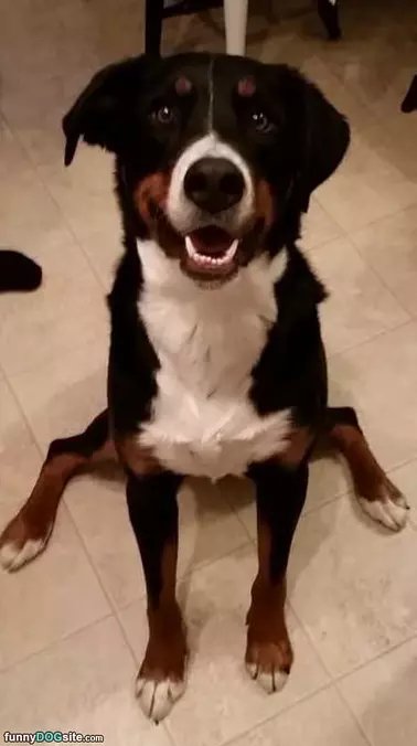 Sitting Like A Spider