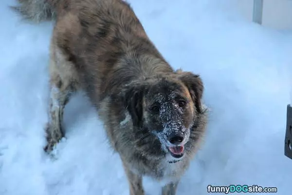 Fun In The Snow