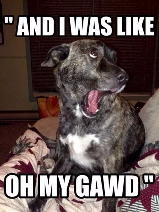 And I Was Like