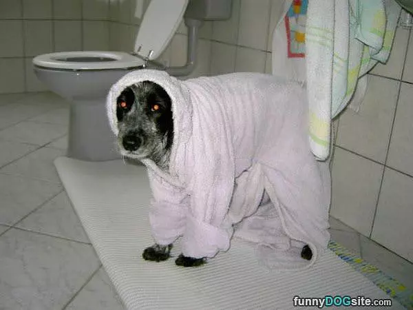 All Robed Up