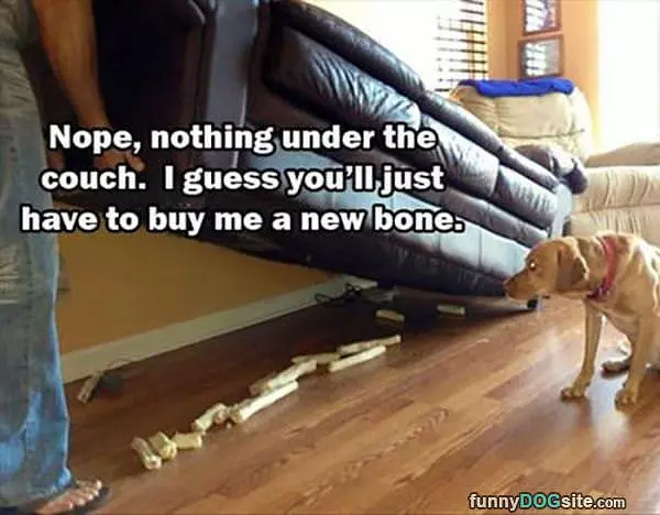 Nope Nothing There