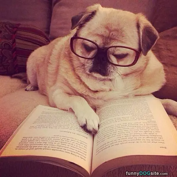 Reading A Book