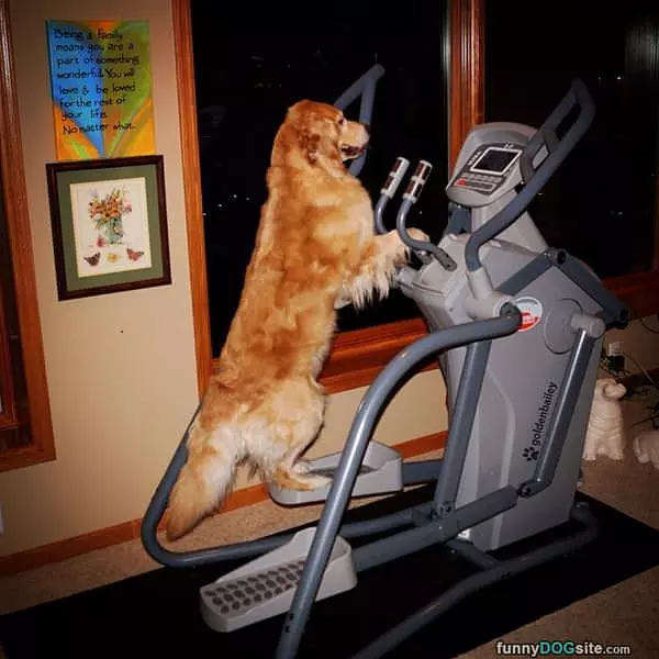 Doing My Workouts