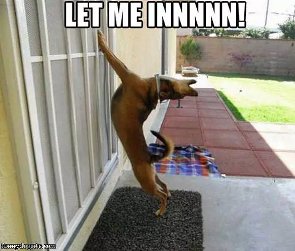 Let Me In