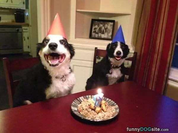 Yayyy Birthday