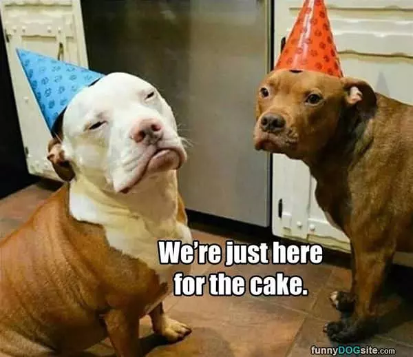 Just Here For The Cake