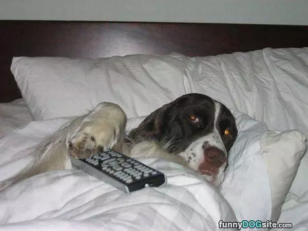 Tucked In