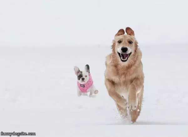 We Loves The Snow