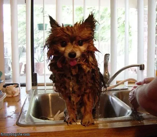 Sink Bath