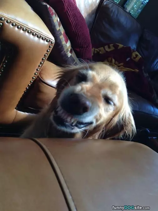 Smiling Big
