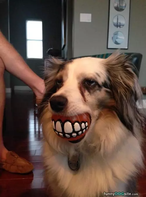 Smiley Ball