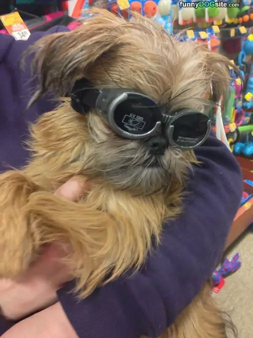 Safety First People
