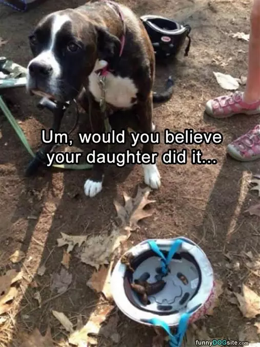 You Wouldnt Believe