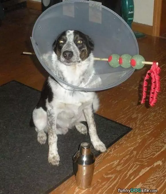 I Am A Martini