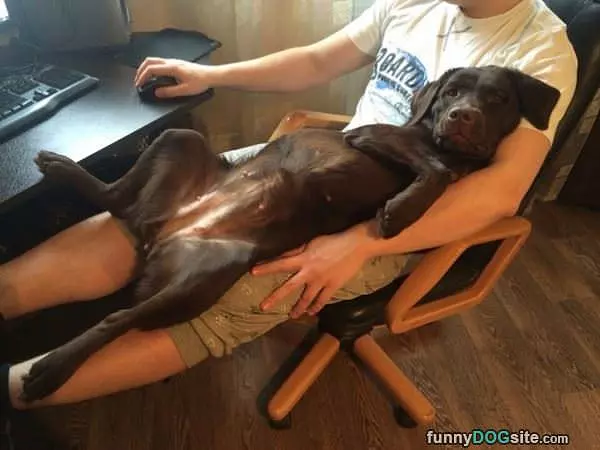 Dude This Is So Relaxing