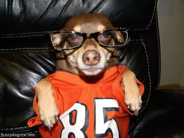 Bo Ready For The Game