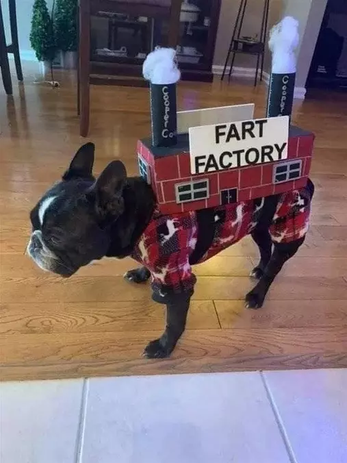 Fart Factory