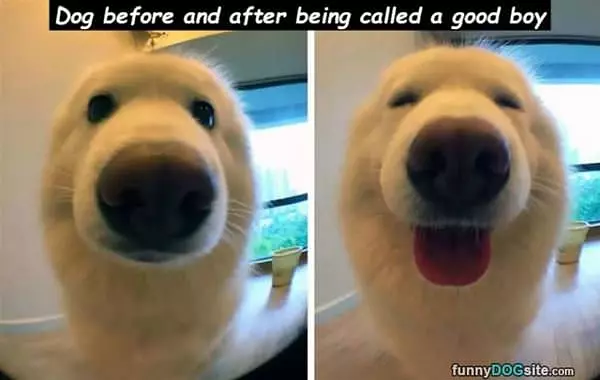 Before And After