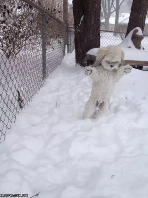 Snow Attack