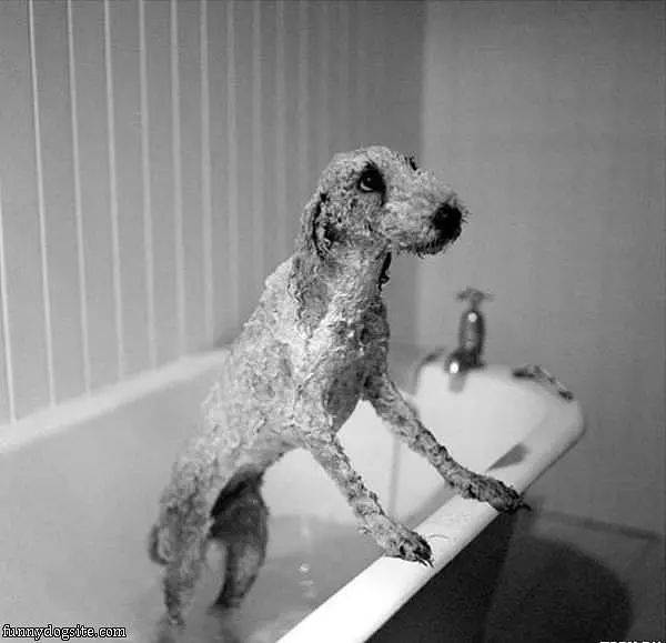 Do I Have To Get A Bath