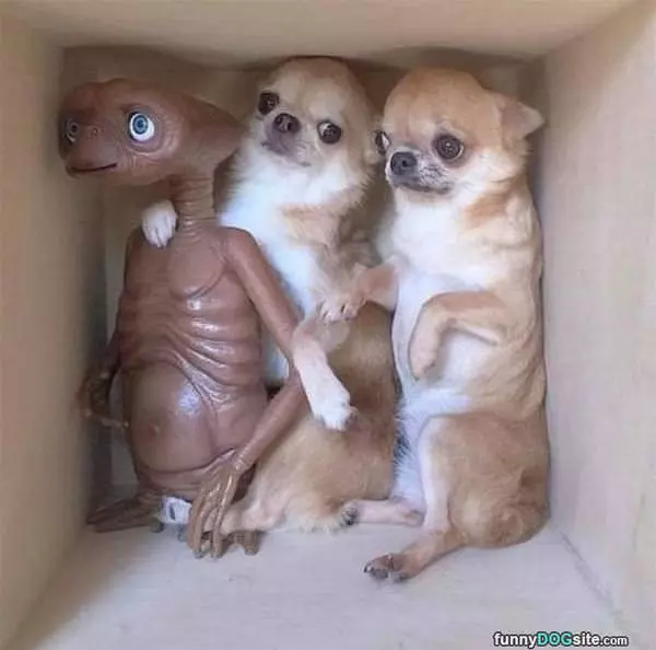 Et Phone Home