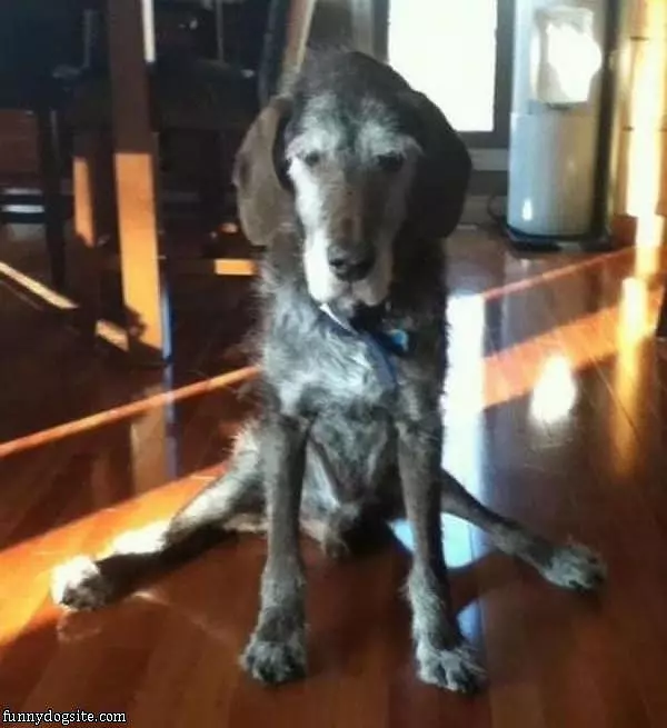 I Sits How I Sits