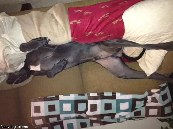 Taking A Power Nap
